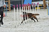 zomer wedstrijd someren zaterdag