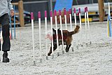 zomer wedstrijd someren zaterdag