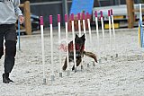 zomer wedstrijd someren zaterdag