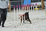 zomer wedstrijd someren zaterdag
