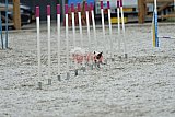 zomer wedstrijd someren zaterdag