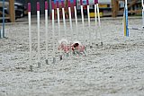zomer wedstrijd someren zaterdag