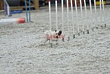 zomer wedstrijd someren zaterdag