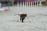 zomer wedstrijd someren zaterdag