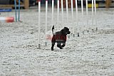 zomer wedstrijd someren zaterdag