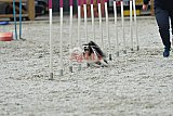 zomer wedstrijd someren zaterdag