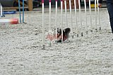 zomer wedstrijd someren zaterdag