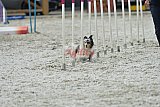 zomer wedstrijd someren zaterdag