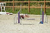 zomer wedstrijd someren zaterdag