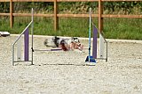 zomer wedstrijd someren zaterdag