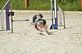 zomer wedstrijd someren zaterdag