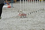 zomer wedstrijd someren zaterdag