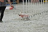 zomer wedstrijd someren zaterdag
