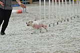 zomer wedstrijd someren zaterdag