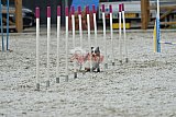 zomer wedstrijd someren zaterdag