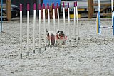 zomer wedstrijd someren zaterdag