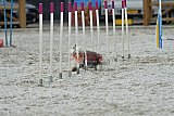 zomer wedstrijd someren zaterdag