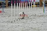 zomer wedstrijd someren zaterdag