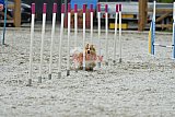 zomer wedstrijd someren zaterdag