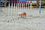zomer wedstrijd someren zaterdag