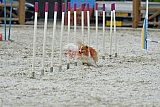 zomer wedstrijd someren zaterdag