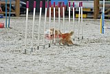 zomer wedstrijd someren zaterdag