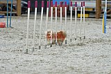 zomer wedstrijd someren zaterdag
