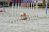 zomer wedstrijd someren zaterdag