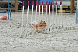 zomer wedstrijd someren zaterdag