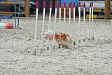zomer wedstrijd someren zaterdag