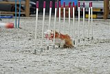 zomer wedstrijd someren zaterdag