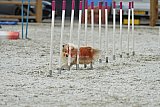 zomer wedstrijd someren zaterdag