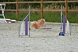 zomer wedstrijd someren zaterdag