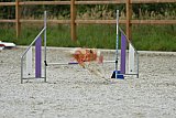 zomer wedstrijd someren zaterdag