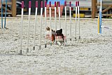 zomer wedstrijd someren zaterdag