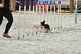zomer wedstrijd someren zaterdag