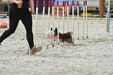 zomer wedstrijd someren zaterdag