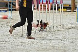 zomer wedstrijd someren zaterdag