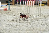 zomer wedstrijd someren zaterdag