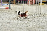 zomer wedstrijd someren zaterdag