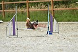 zomer wedstrijd someren zaterdag