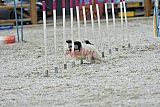 zomer wedstrijd someren zaterdag