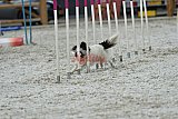 zomer wedstrijd someren zaterdag