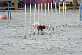 zomer wedstrijd someren zaterdag