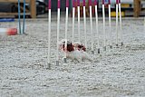 zomer wedstrijd someren zaterdag