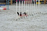 zomer wedstrijd someren zaterdag