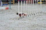 zomer wedstrijd someren zaterdag