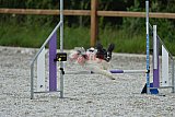 zomer wedstrijd someren zaterdag
