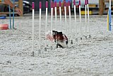 zomer wedstrijd someren zaterdag