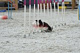 zomer wedstrijd someren zaterdag